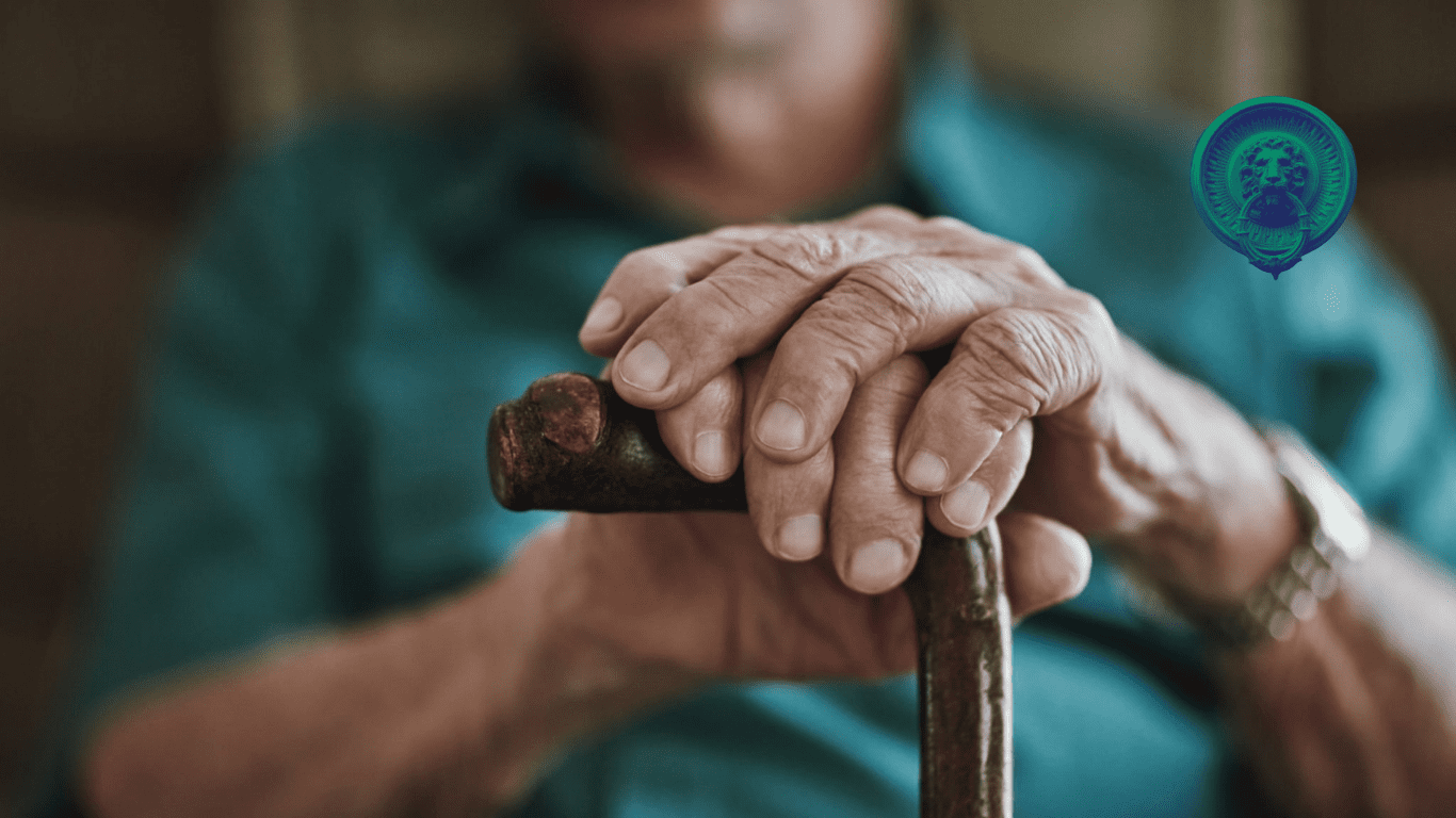 Guia para o BPC Loas